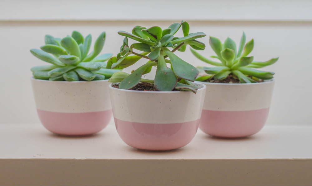 Pink planters